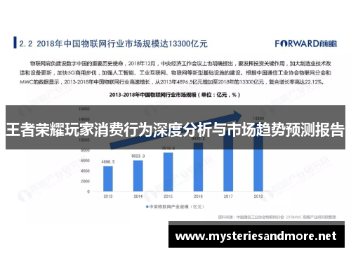 王者荣耀玩家消费行为深度分析与市场趋势预测报告